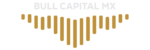 Bull Capital Mx